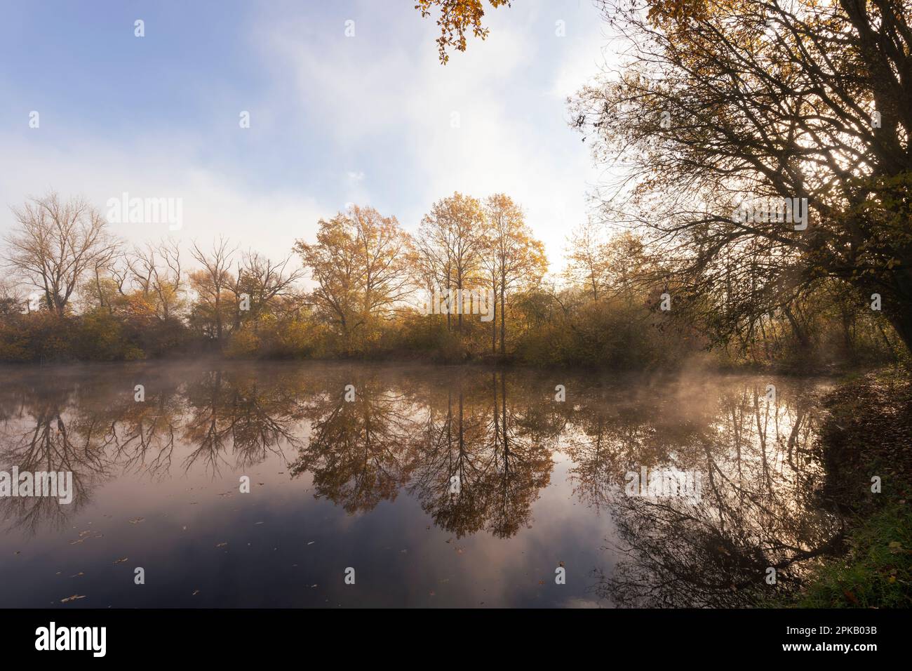 Sonnenaufgang im Nebel über dem Naturschutzgebiet Altmain bei Grafenrheinfeld, Kreis Schweinfurt, Niederfrankien, Bayern, Deutschland Stockfoto