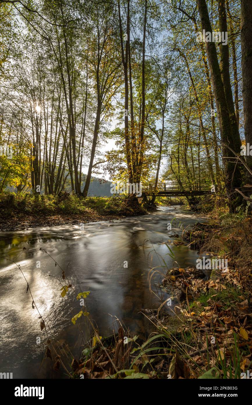 Die Schondra im Naturschutzgebiet Niederes Schöndra-Tal zwischen der Gemeinde Heiligkreuz und Gräfendorf, im Biosphärenreservat Rhön und im Naturpark Spessart, Niederfrankien, Franken, Bayern, Deutschland Stockfoto