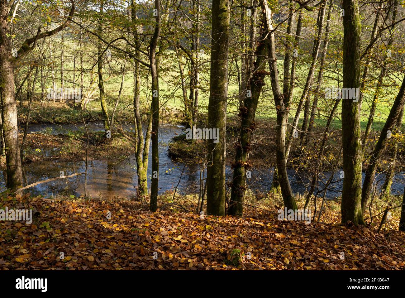 Naturschutzgebiet Niederes Schöndra-Tal zwischen der Gemeinde Heiligkreuz und Gräfendorf im Biosphärenreservat Rhön und im Naturpark Spessart, Niederfrankien, Franken, Bayern, Deutschland. Stockfoto