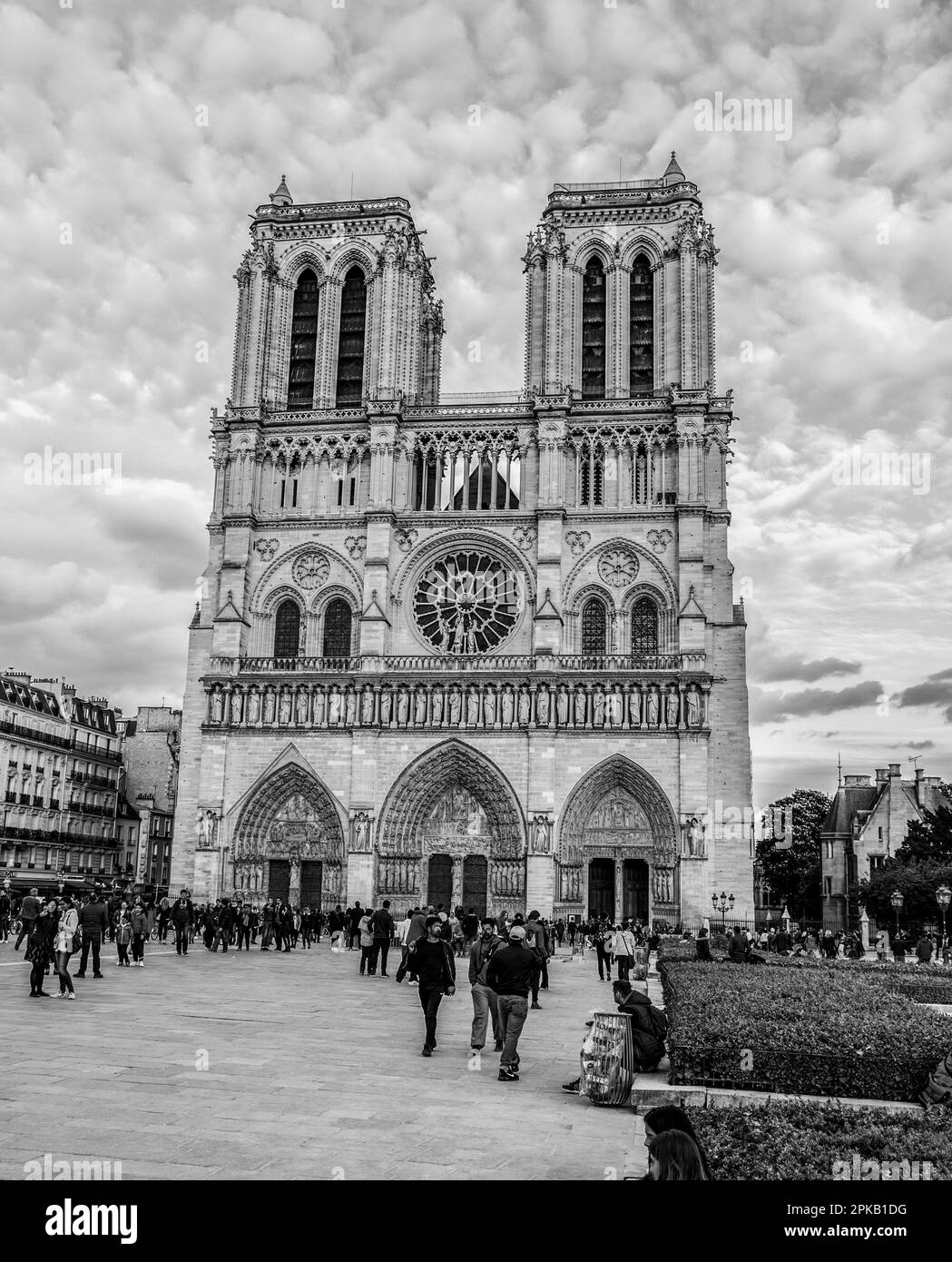 Schönes Portal der berühmten Kathedrale Notre Dame in Paris vor dem Feuer, Frankreich Stockfoto