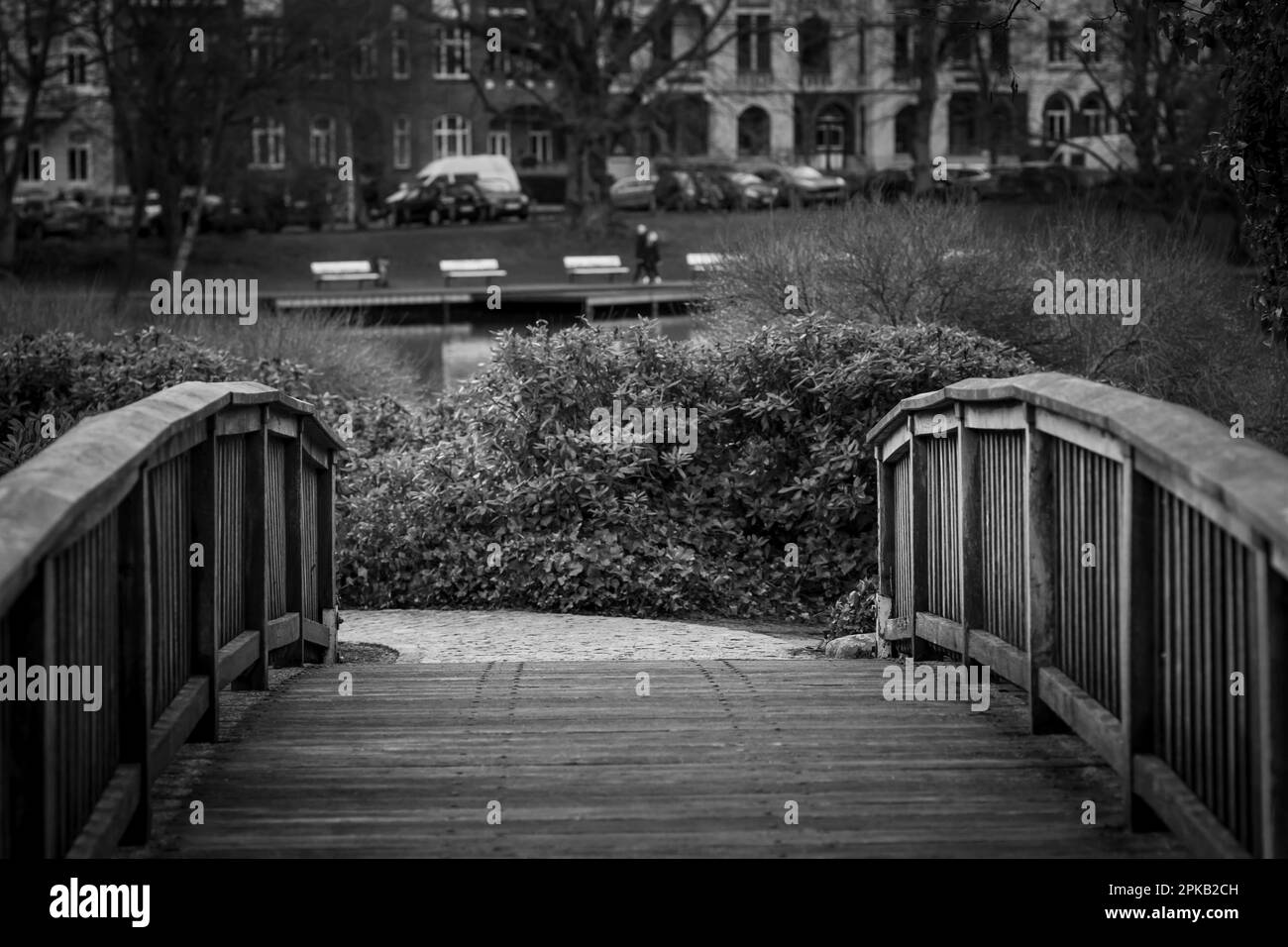 Park, Holzbrücke, Fokus im Vordergrund, schwarz und weiß, Kiel, Schleswig-Holstein, Deutschland Stockfoto