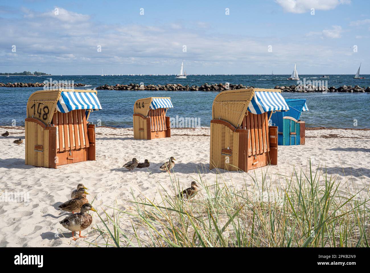 Liegestühle am Kieler Hafen, Schleswig Holstein, Deutschland Stockfoto