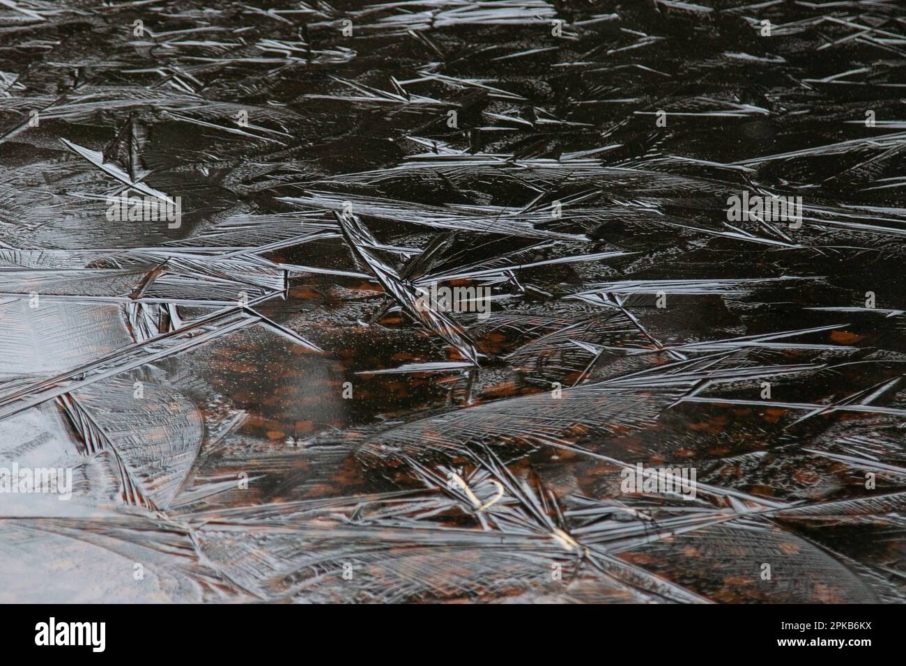 Furlbach Valley im Dezember mit Haarreis Stockfoto