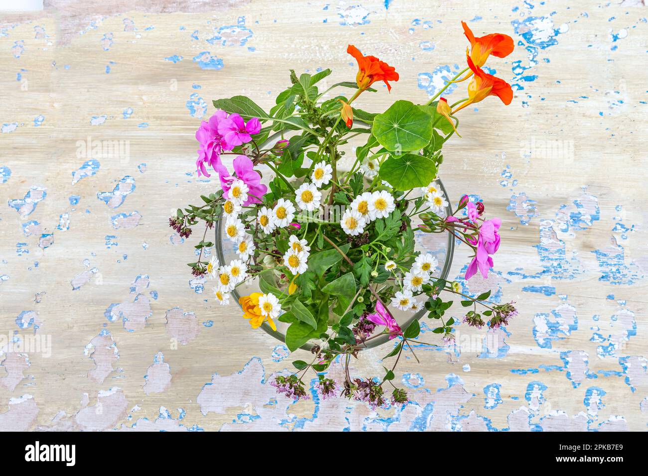 Blumenstrauß und Heilpflanzen für die pflanzliche Medizin von oben gesehen auf gesprenkeltem blauem Hintergrund. Stockfoto