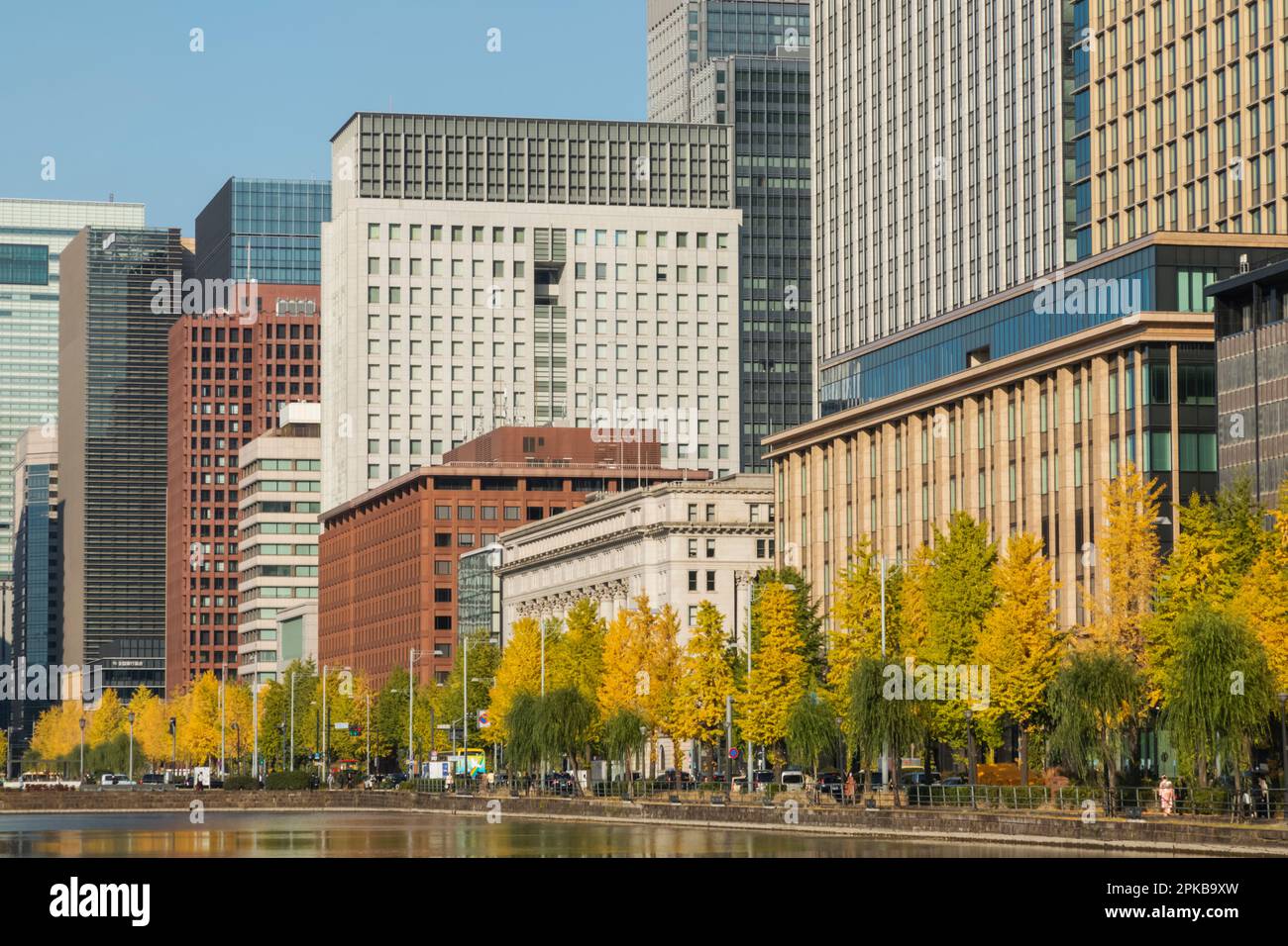 Japan, Honshu, Tokio, Skyline des Geschäftsviertels Marunouchi und Herbstblätter Stockfoto