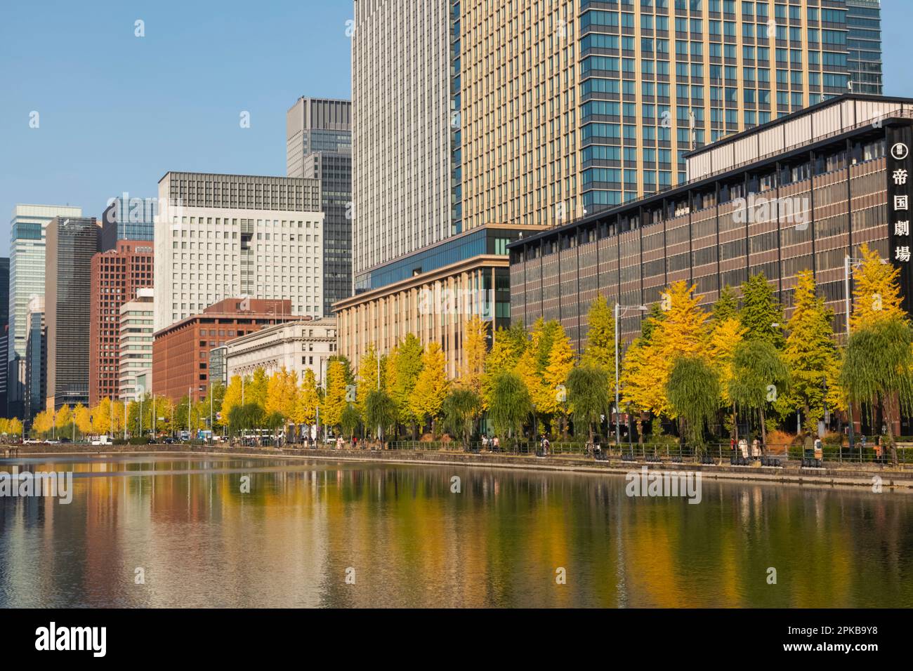 Japan, Honshu, Tokio, Skyline des Geschäftsviertels Marunouchi und Herbstblätter Stockfoto