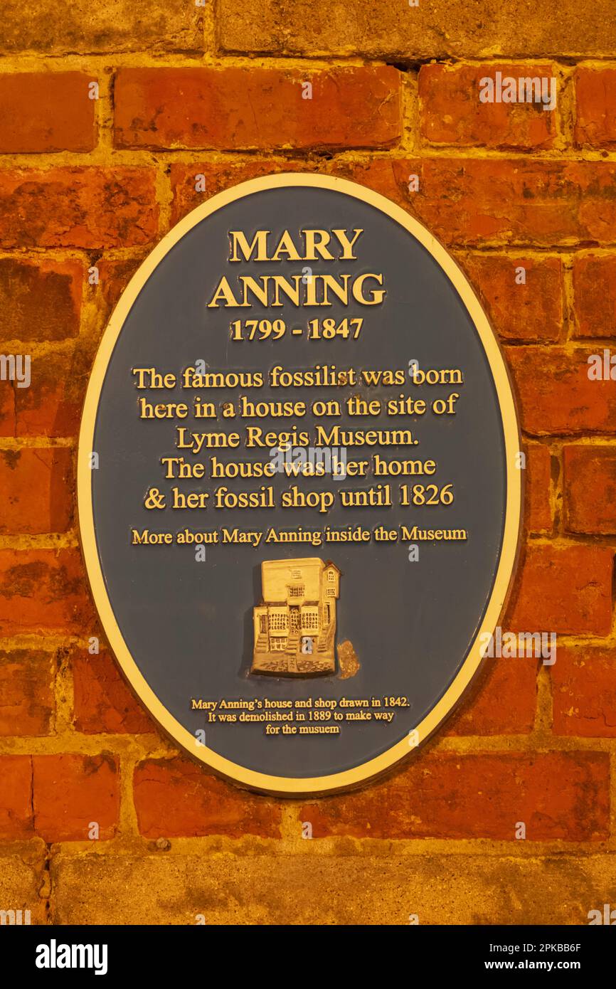England, Dorset, Jurassic Coast, Lyme Regis, Mary Anning Gedenkplakette an der Wand des Lyme Regis Museums, ihr ehemaliges Zuhause Stockfoto