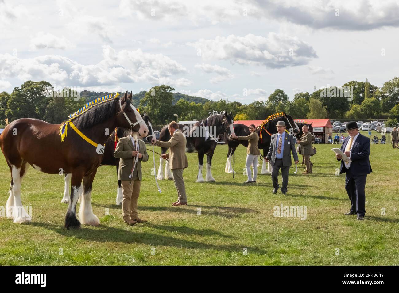 England, Dorset, Shaftesbury, die jährliche Wessex Heavy Horse Show und Country Fair, Heavy Horse Jurging Stockfoto