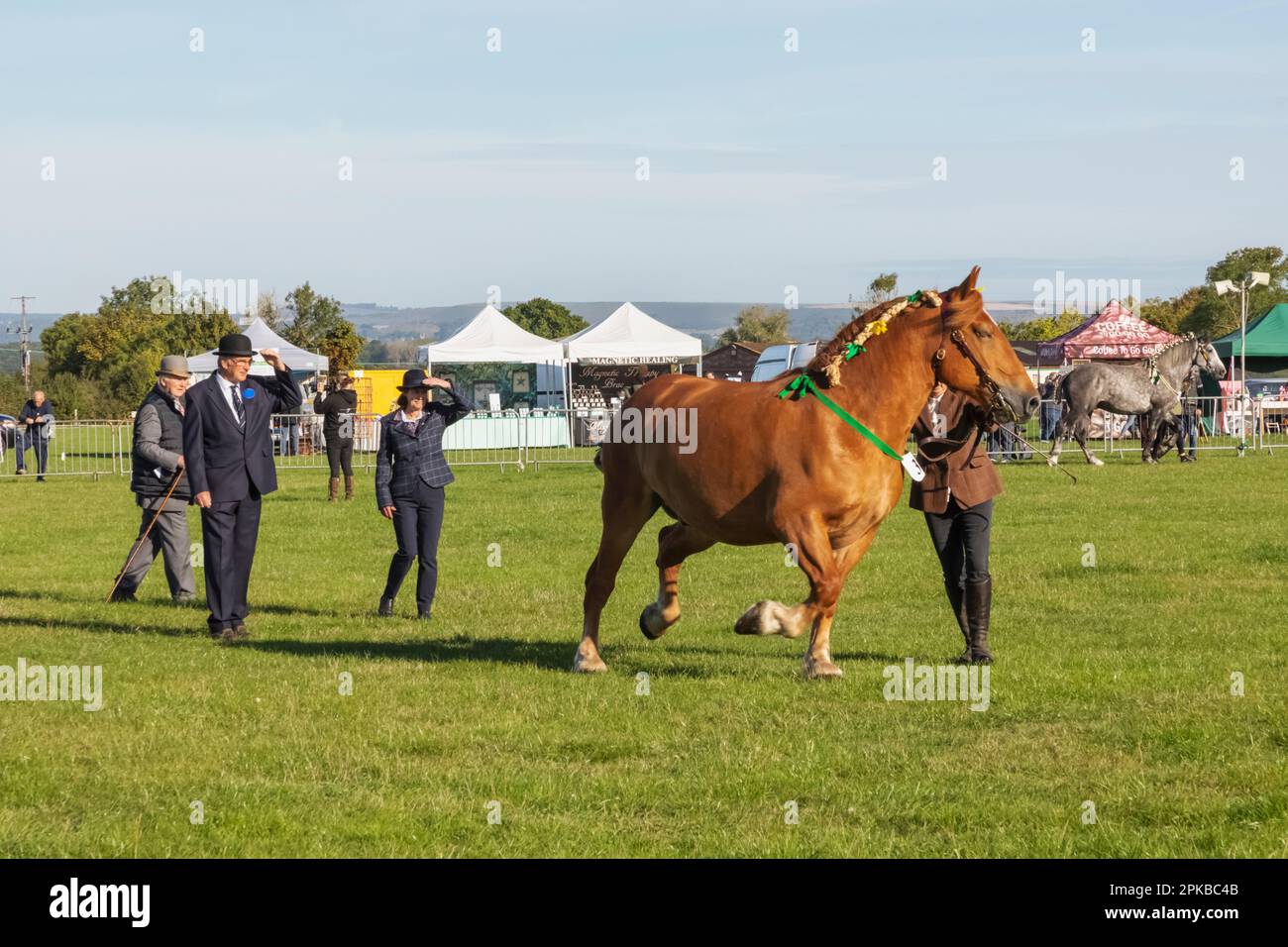 England, Dorset, Shaftesbury, die jährliche Wessex Heavy Horse Show und Country Fair, Heavy Horse Jurging Stockfoto