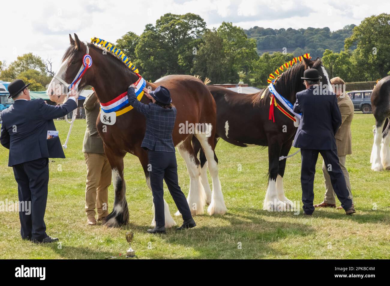 England, Dorset, Shaftesbury, die jährliche Wessex Heavy Horse Show und Country Fair, Heavy Horse Jurging Stockfoto