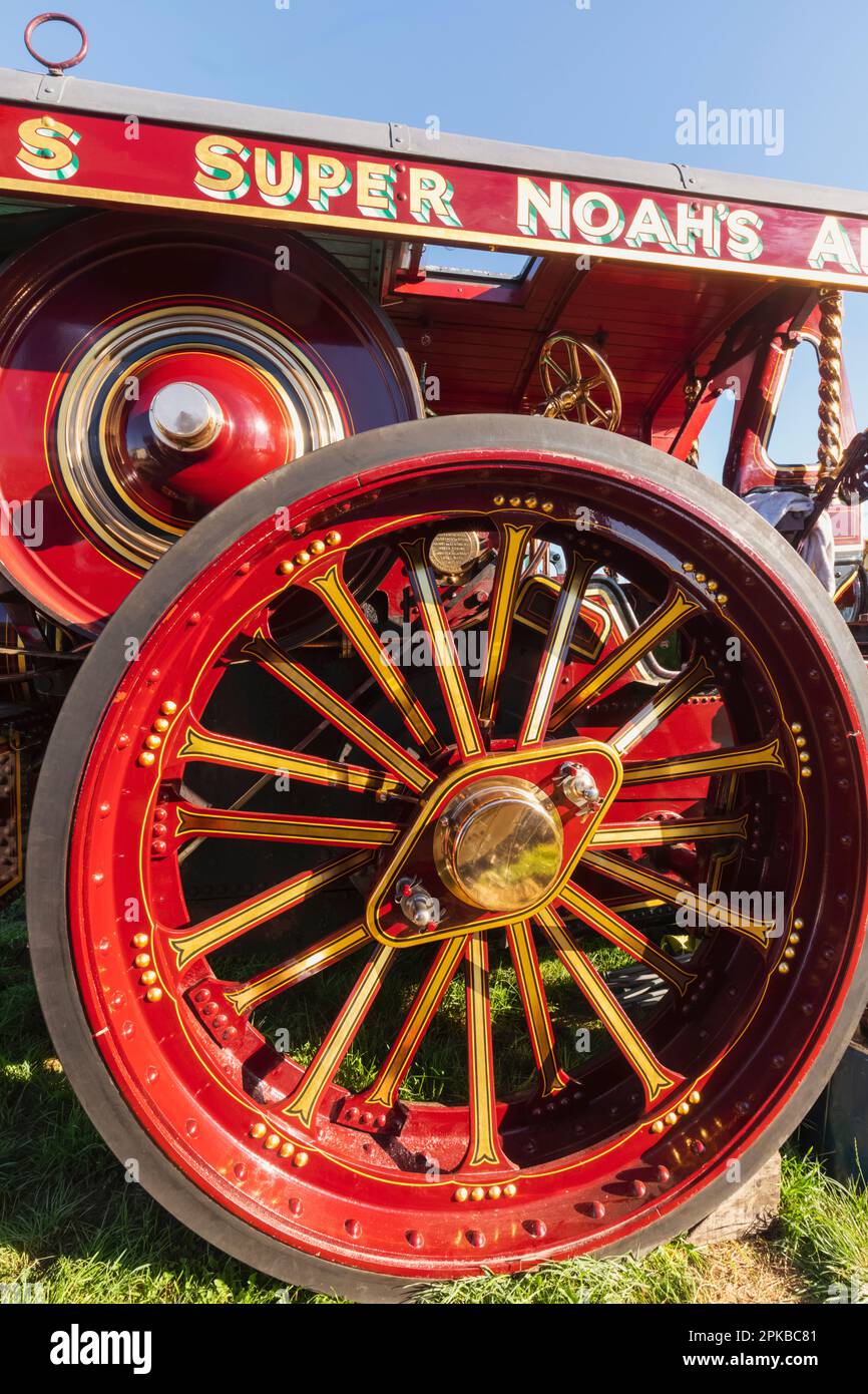 England, Dorset, die jährliche Great Dorset Steam Fair im Tarrant Hinton in der Nähe des Blandford Forums, farbenfrohes riesiges Dampflokomotivrad Stockfoto