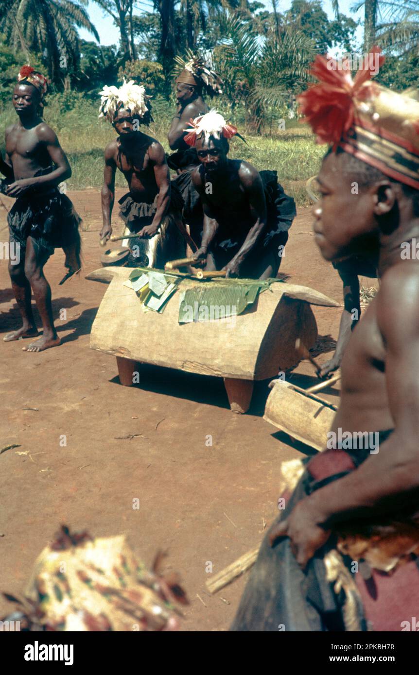 Demokratische Republik Kongo. Festlichkeiten zur Feier der Unabhängigkeit von Belgien, 30. Juni 1960: Mangbetu-Männer spielen Schlitztrommel (Idiophon) Stockfoto