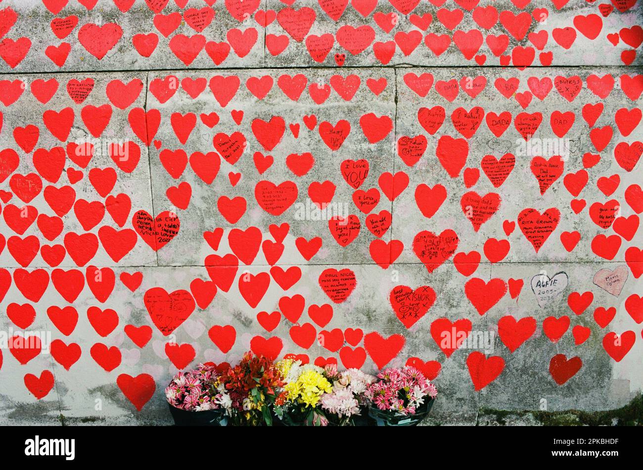 Herzen und Blumen auf einem Abschnitt der Covid Memorial Wall am Südufer der Themse in Westminster, London, Großbritannien Stockfoto