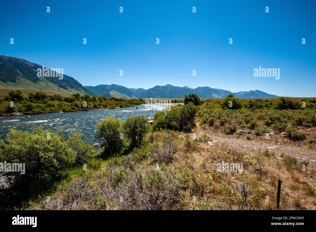 Fliegenfischen In Montana Stockfoto