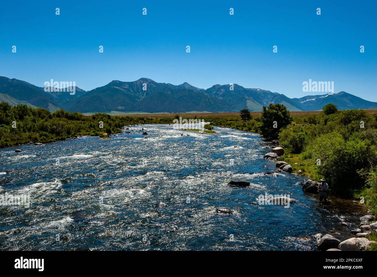 Fliegenfischen In Montana Stockfoto