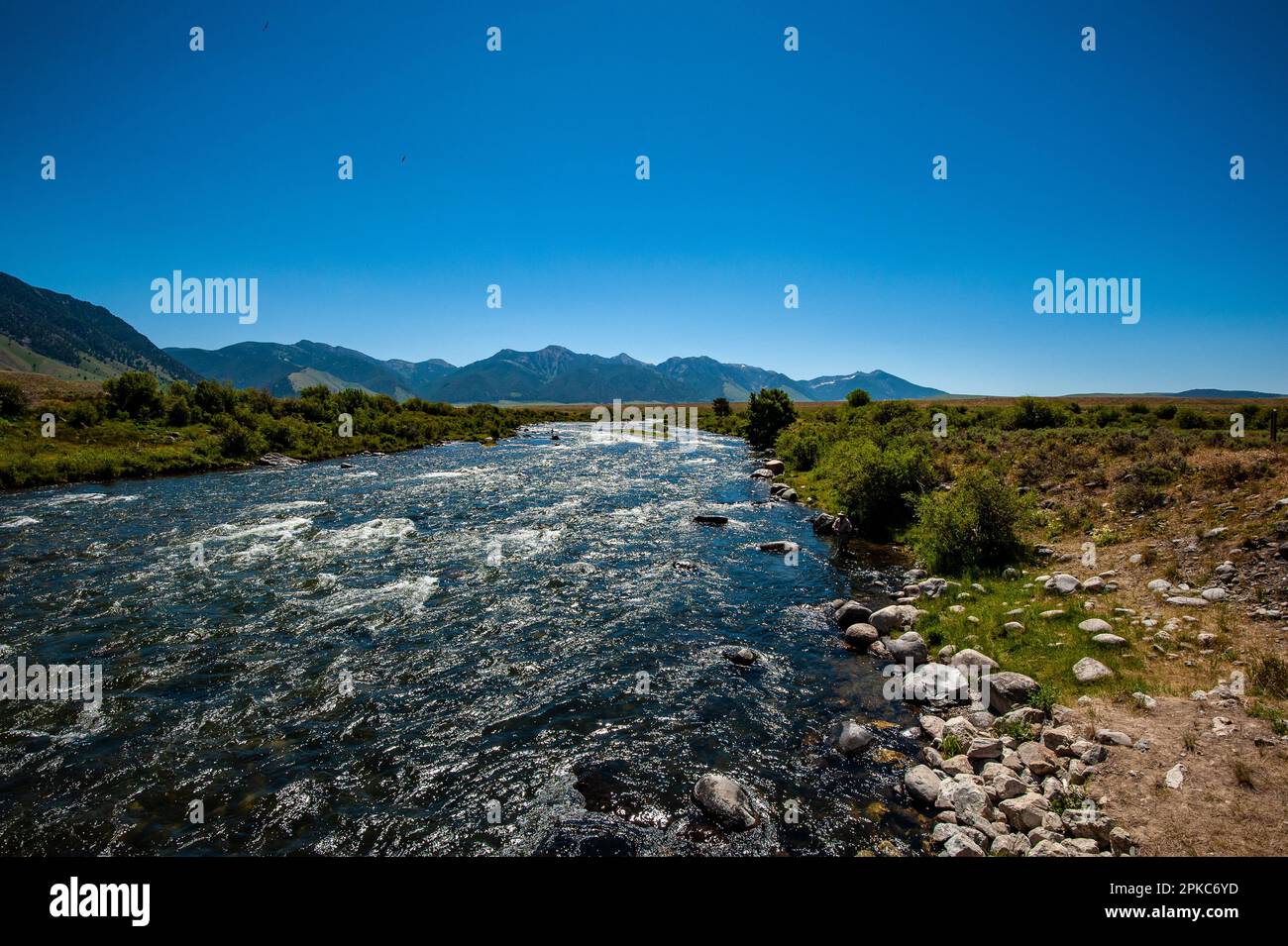 Fliegenfischen In Montana Stockfoto