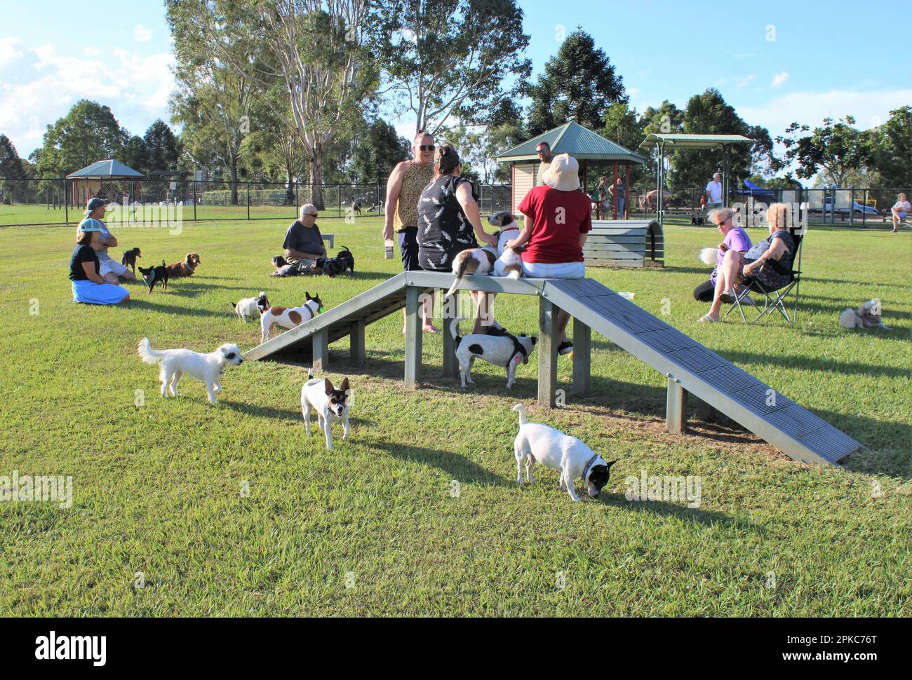 Riverdale Small Dog Park, Logan City, Queensland, Australien. Eine Gruppe mehrerer Generationen, die sich in einem Hundegehege in einem Park erholen kann. Stockfoto