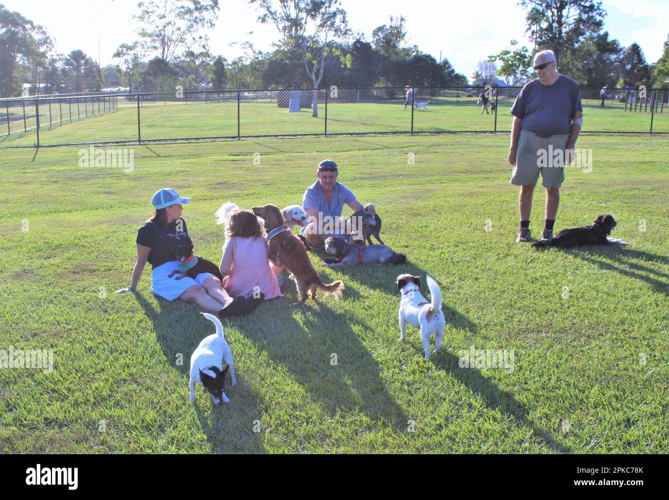 Riverdale Small Dog Park, Logan City, Queensland, Australien. Gruppenfreizeitaktivitäten für mehrere Generationen in einem Hundegehege ohne Leine. Stockfoto