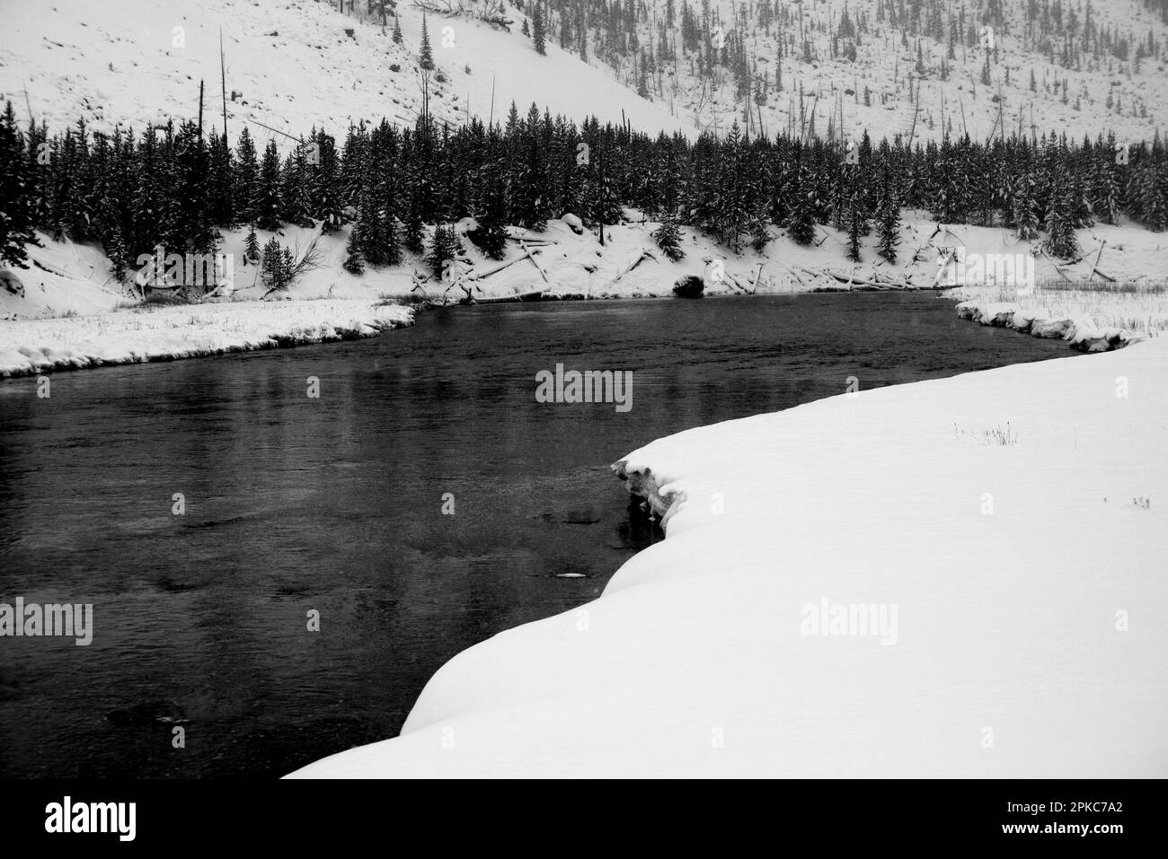 Verschneiter Morgen auf dem Madison River im Yellowstone-Nationalpark Stockfoto