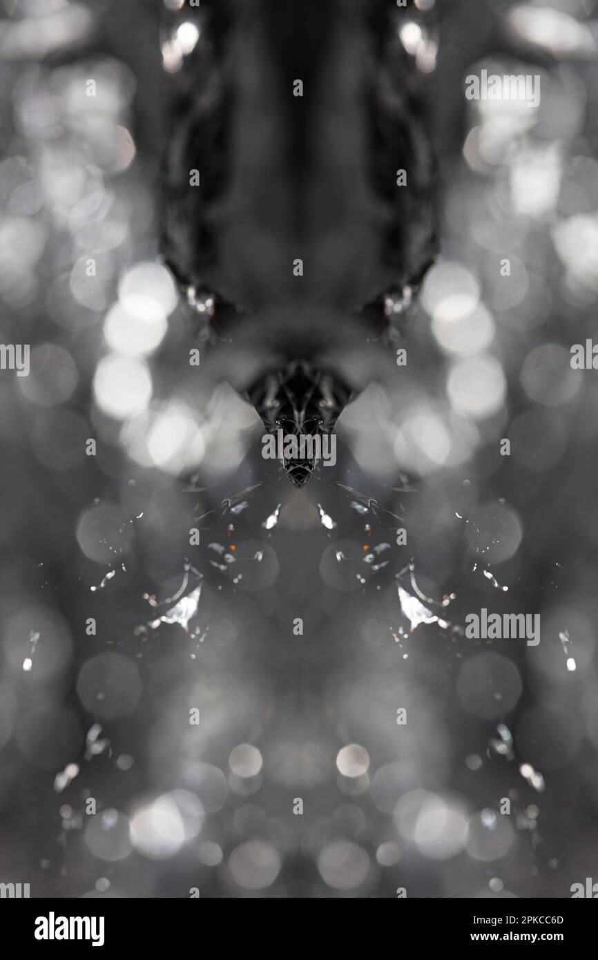Aluminium Blattwerk Lichteffekte Design Feuershow Party festliche Dekorationen abstrakt verschwommener Hintergrund leuchtende Textur glänzendes Muster große, moderne Größe Stockfoto
