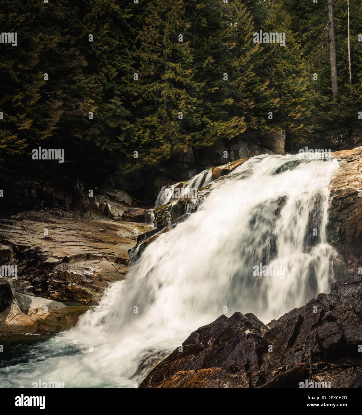 Golden Ears Provincial Park in Maple Ridge, BC, Kanada. Stockfoto