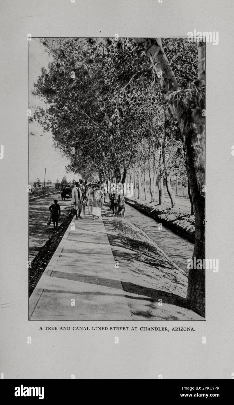 A Tree and Canal Linked Street in Chandler, Arizona aus dem Buch „ Arizona, the Wonderland “ die Geschichte der alten Klippen und Höhlenwohnungen, der Pueblos, der Eroberung durch Spanier, Jesuiten und Franziskaner, Wegbereiter und Indianer; eine Übersicht über das Klima, landschaftliche Wunder, Topographie, Wüsten, Berge, Flüsse und Täler; ein Überblick über ihre Industrien; ein Bericht über ihren Einfluss auf Kunst, Literatur und Wissenschaft; und einige Hinweise darauf, was sie dem Automobil, Sportler, Vergnügungs- und Gesundheitssuchenden Freude bietet. Von George Wharton James. Veröffentlicht in Boston von The Page Company Stockfoto