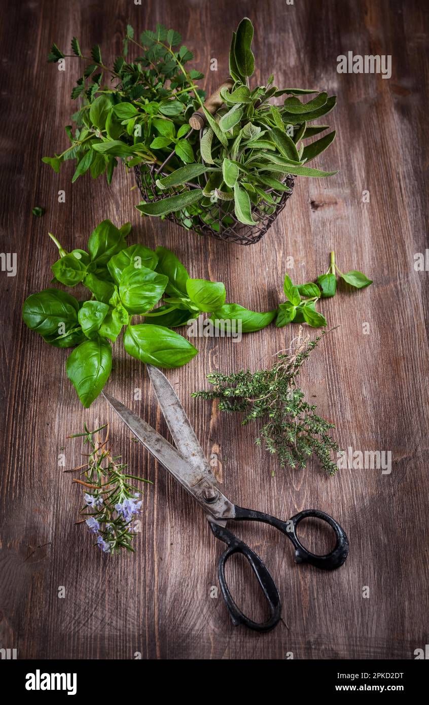 Verschiedene frische Kräuter mit Gartenschere auf Holzhintergrund Stockfoto