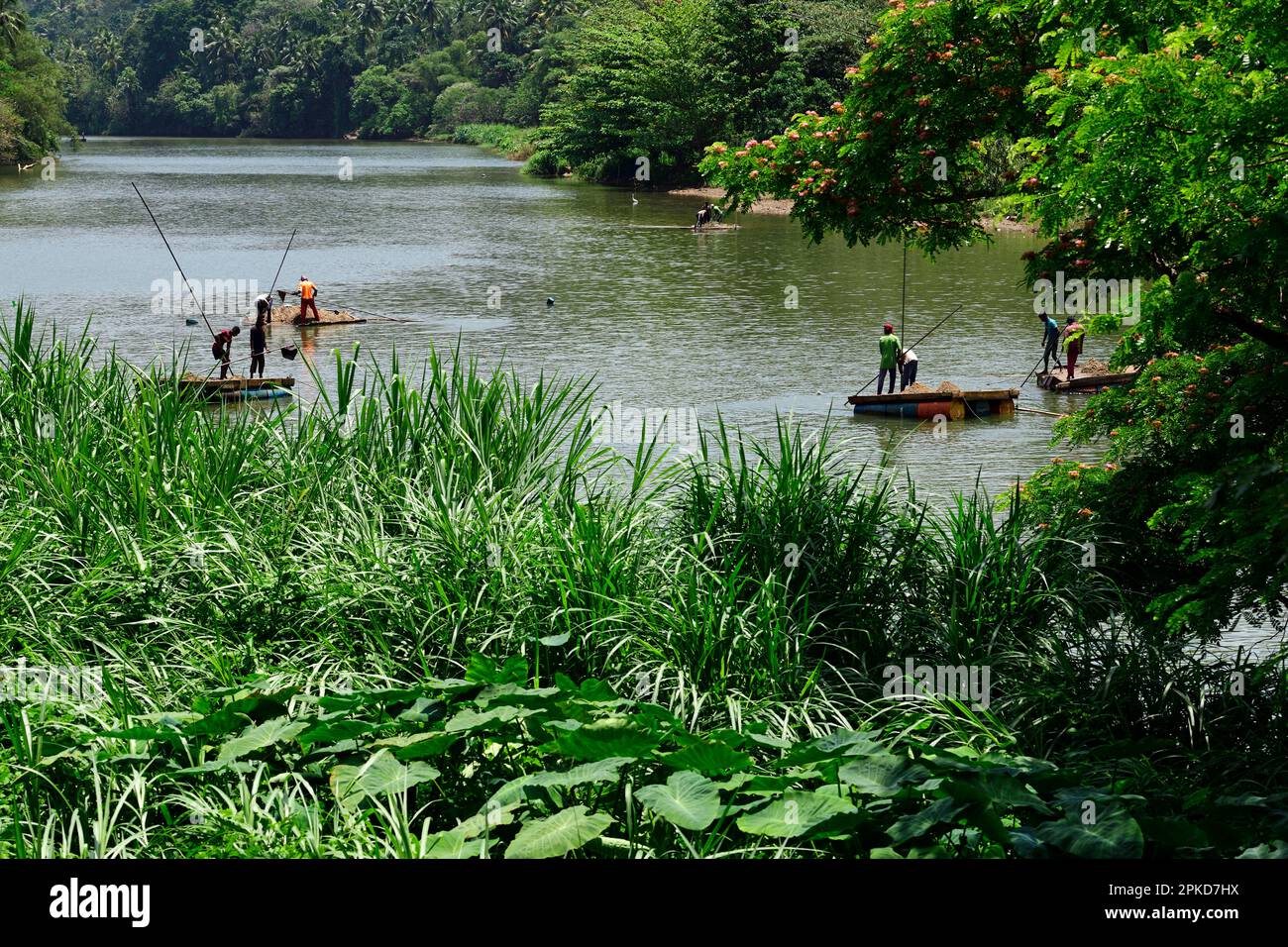 Arbeiter schöpfen Sand für Bauzwecke aus dem Mahaweli River, Kandy, Sri Lanka Stockfoto