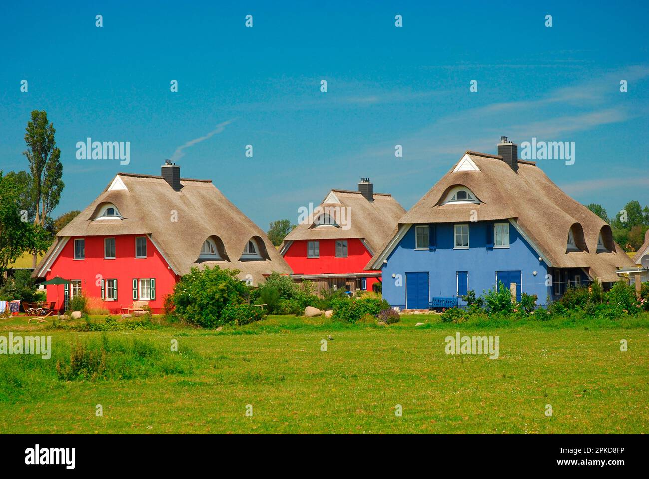 Strohhäuser, Ahrenshoop, Fischland-Darss, Mecklenburg-Vorpommern, Deutschland Stockfoto