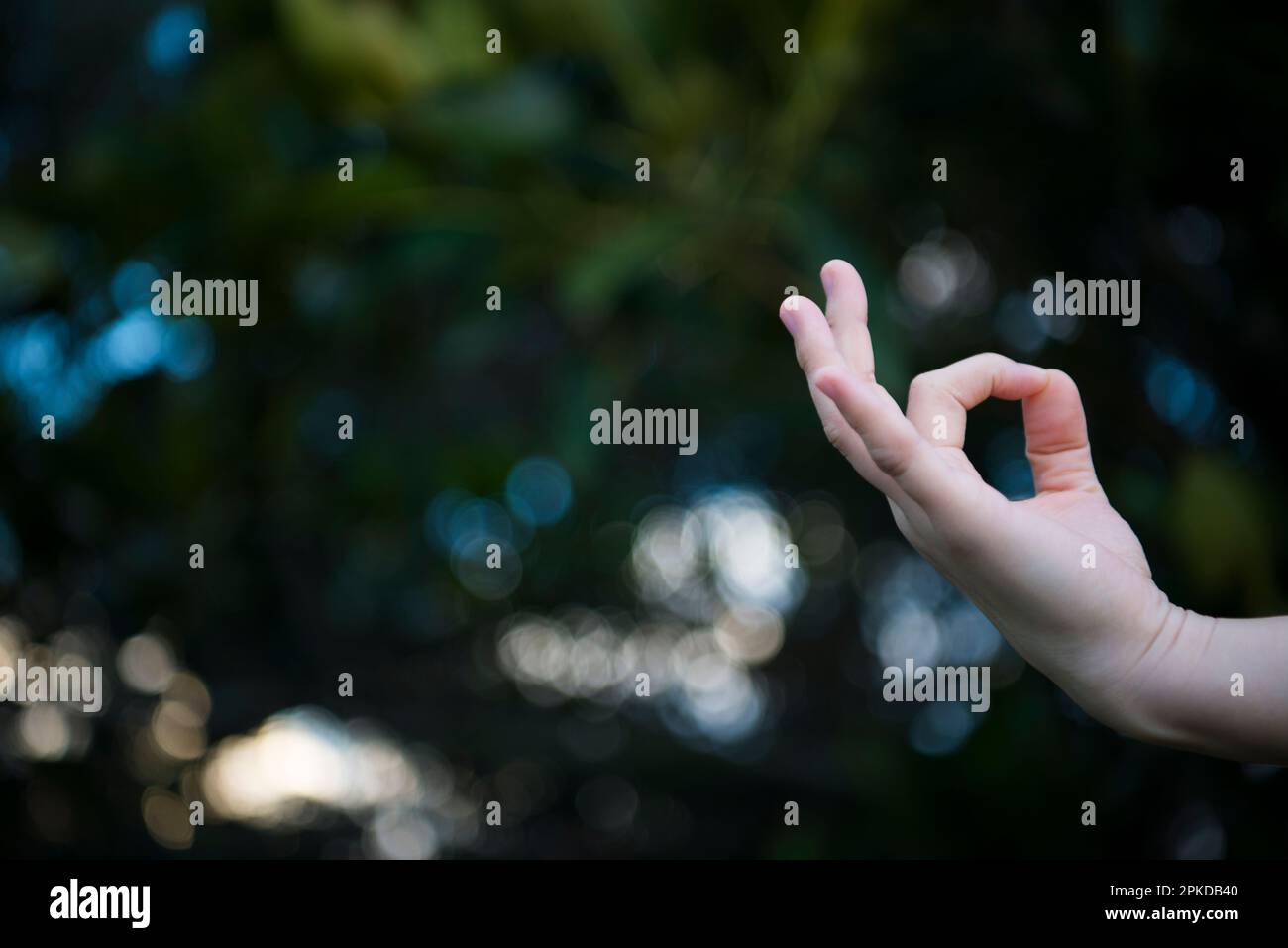 Hände in Schimedorah-Pose Stockfoto