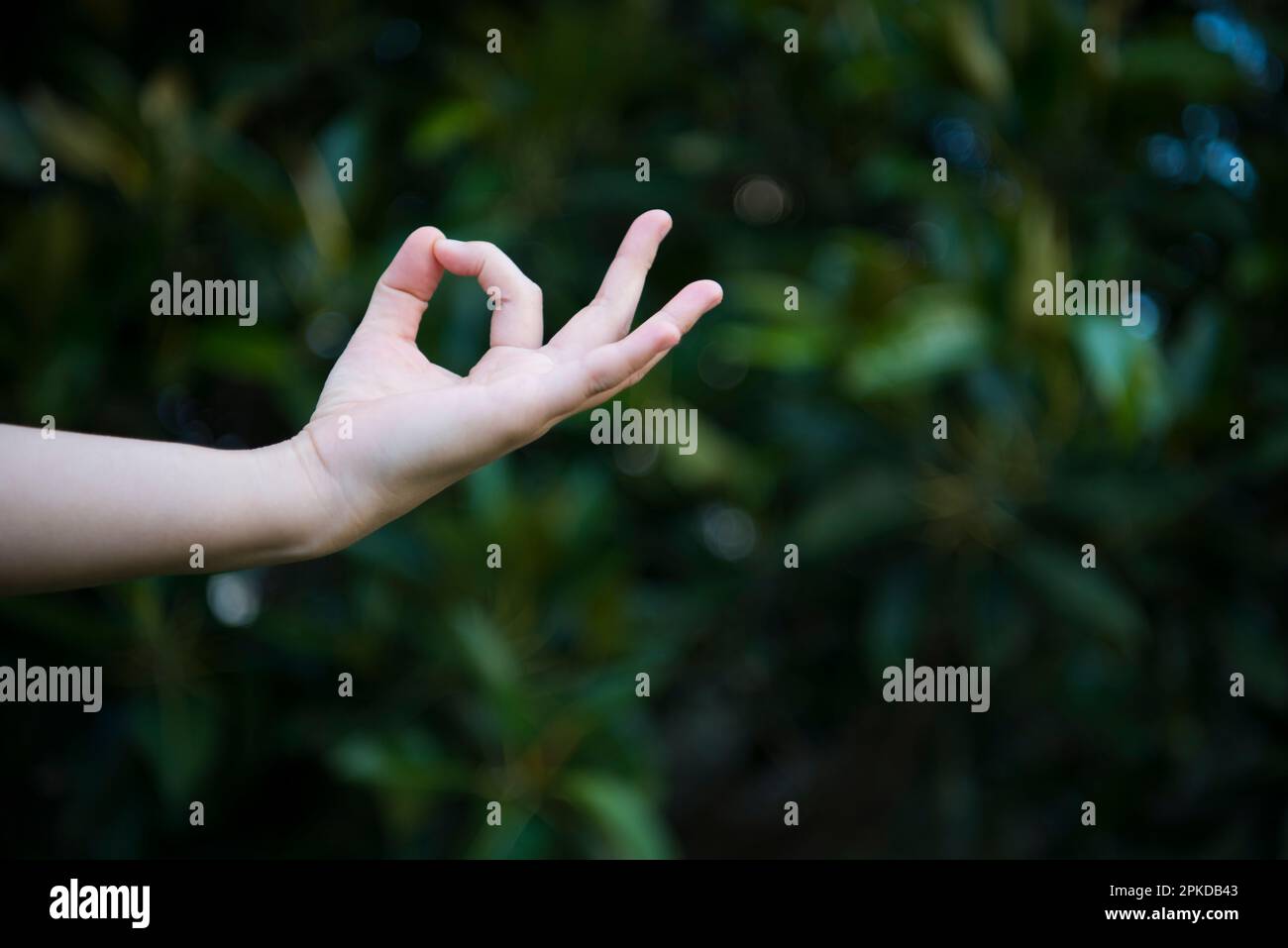Hände in der Chimdollar-Pose Stockfoto