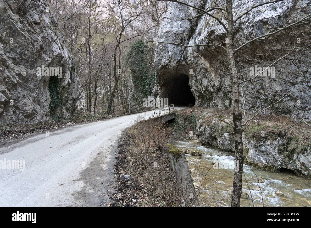 Peručac, Bajina Bašta, Serbien – Februar 2023: Straße nach Rastište im Tara-Nationalpark Stockfoto