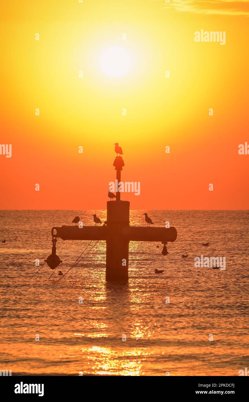 Sommermorgen Küstenlandschaft. Sonne und Vögel über der Ostsee. Foto am Strand in Gdynia, Polen. Stockfoto