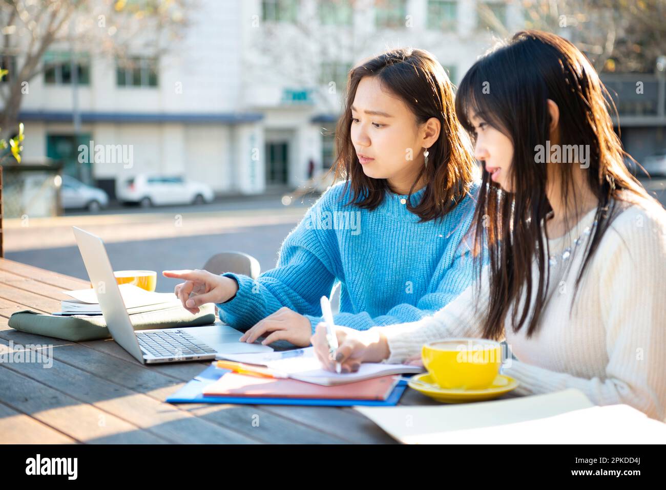 Zwei Leute, die in einem Café lernen Stockfoto
