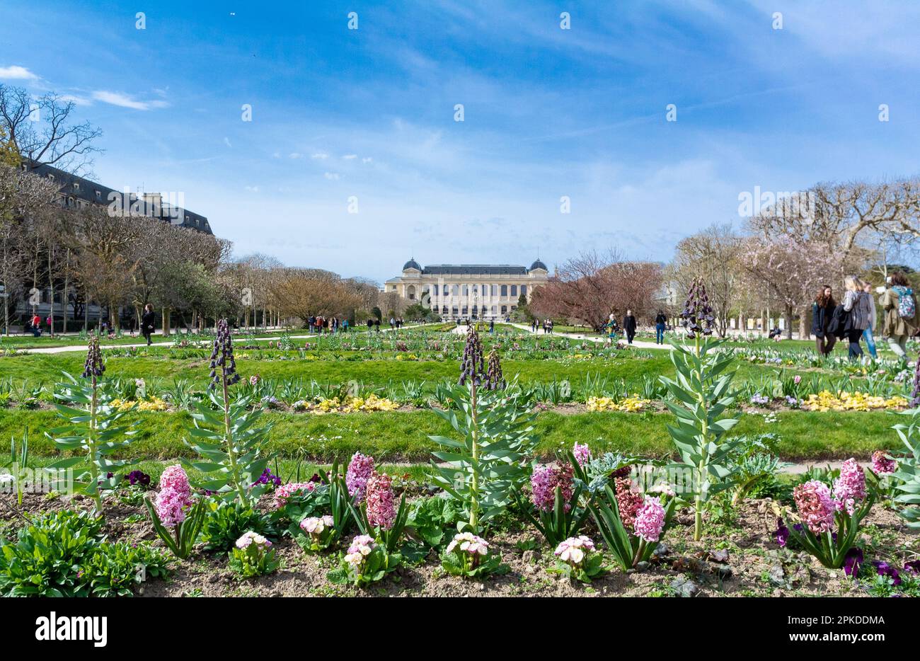 Paris, Frankreich, 29. März, eine Landschaft mit der großen Galerie der Evolution, Naturkundemuseum im Jardin des plantes Stockfoto
