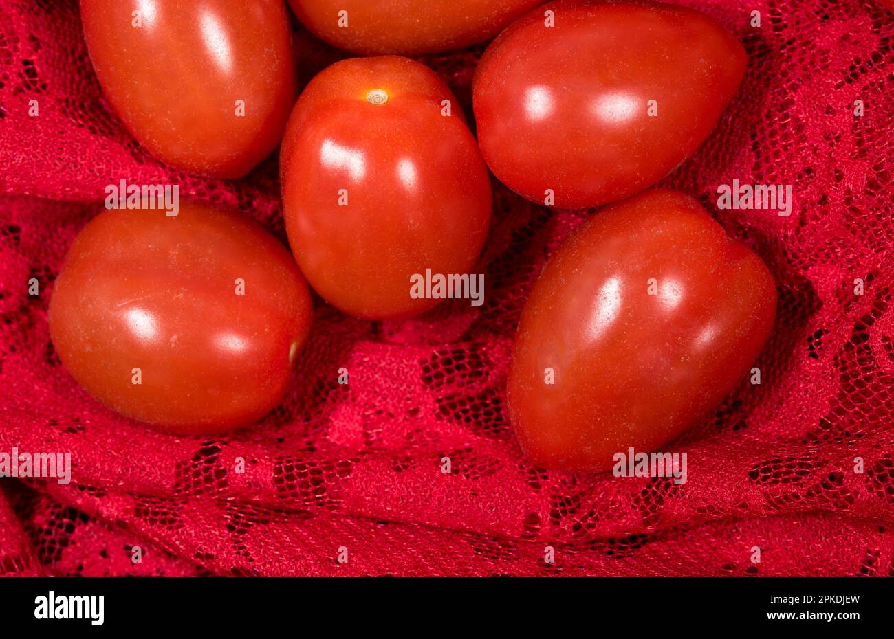 Dei bei pomodorini di Colore rosso vivo Stockfoto