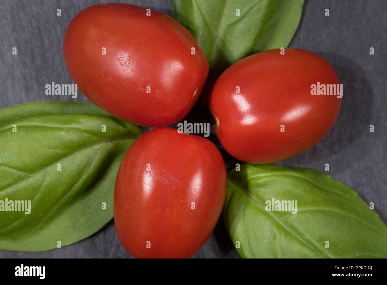 Alcuni bei pomodori con foglie di basilico Stockfoto