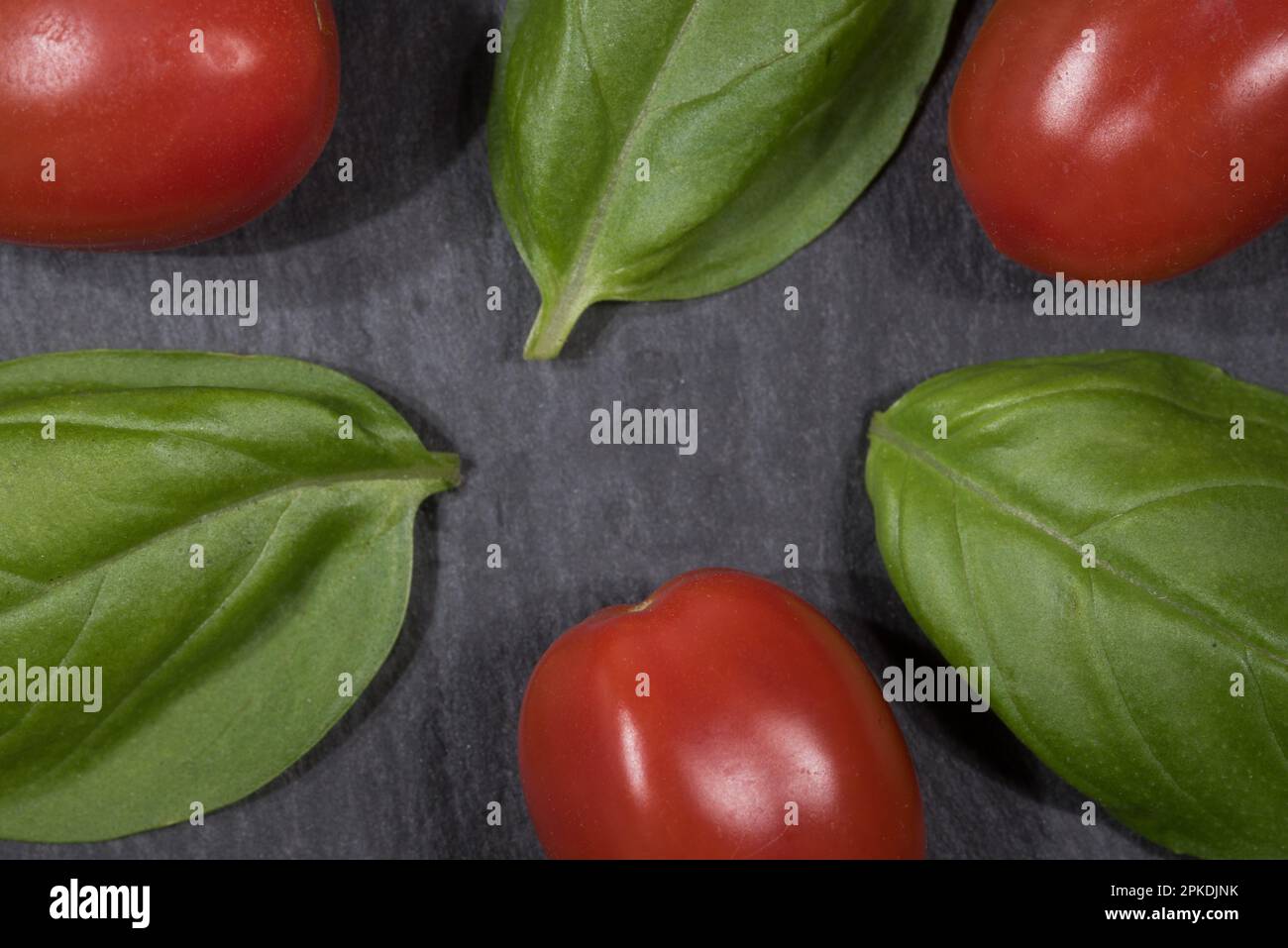 Alcuni bei pomodori con foglie di basilico Stockfoto