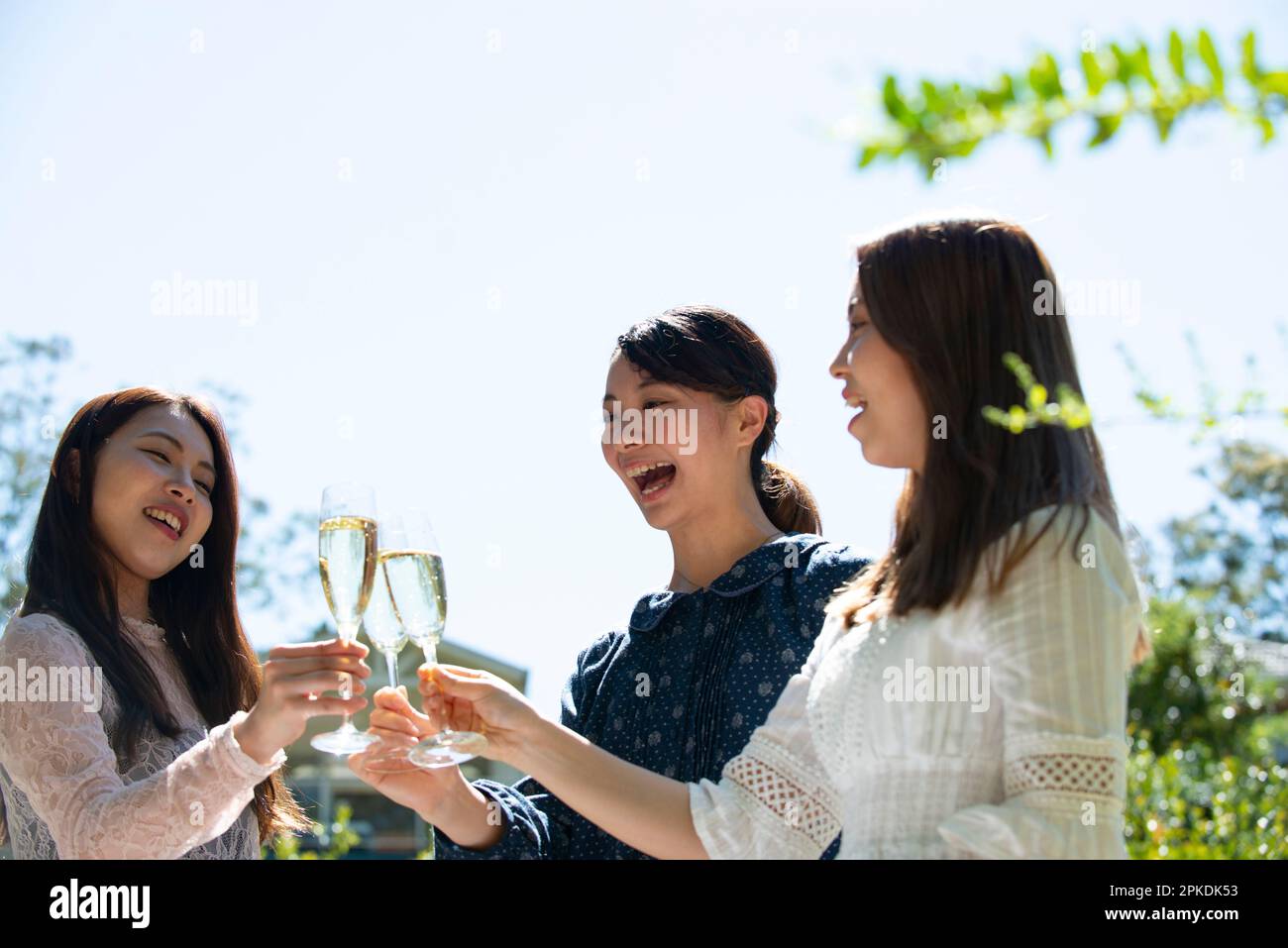 Drei lächelnde Frauen, die auf eine Gartenparty anstoßen Stockfoto