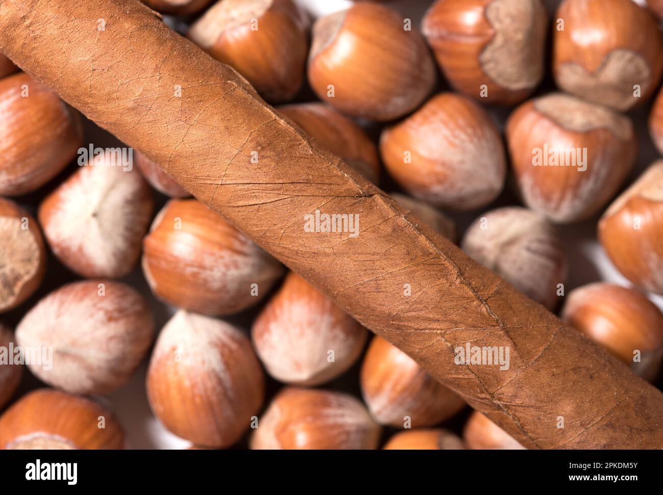 un sigaro cubano sopra un mix di nocciole Stockfoto