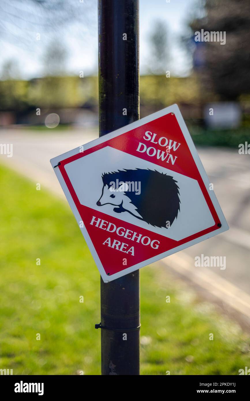 Schild „Slow down Hegehog Area“ am Straßenrand in Southampton, England, Großbritannien - Schutz der Igel Stockfoto