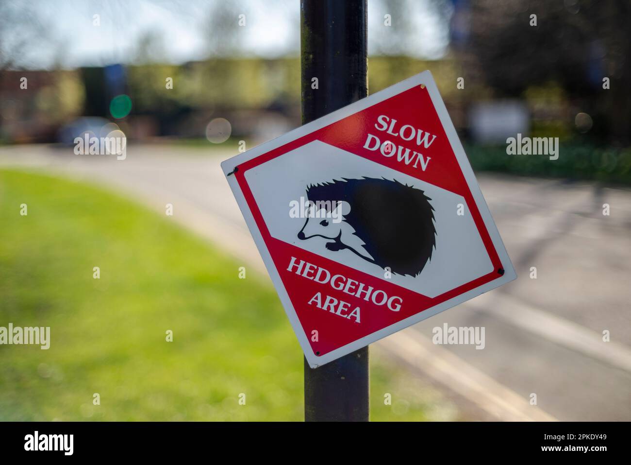 Schild „Slow down Hegehog Area“ am Straßenrand in Southampton, England, Großbritannien - Schutz der Igel Stockfoto