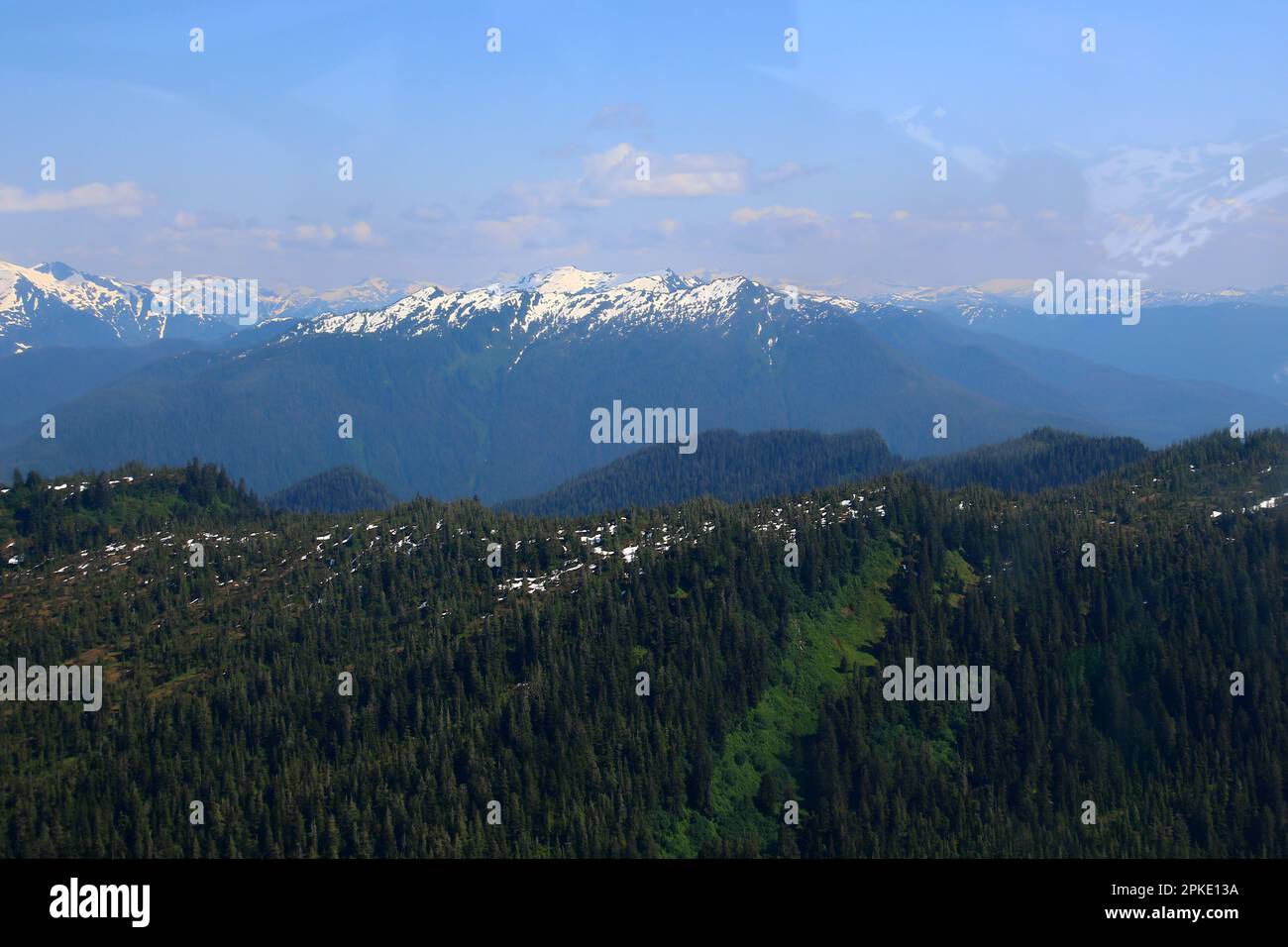 Blick auf den Tongass National Forest von einem Flugzeug in Alaska, USA Stockfoto