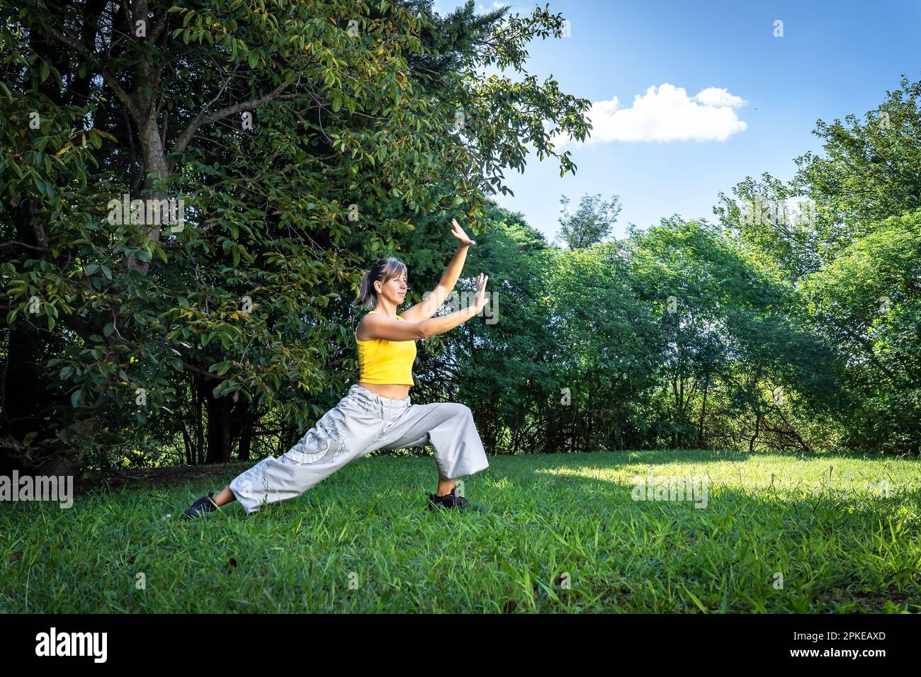 Ruhige Erwachsene Frau, die im Park Qigong-Training macht. Verbindung zur Natur und der lebenswichtigen Energie des Universums. Stockfoto