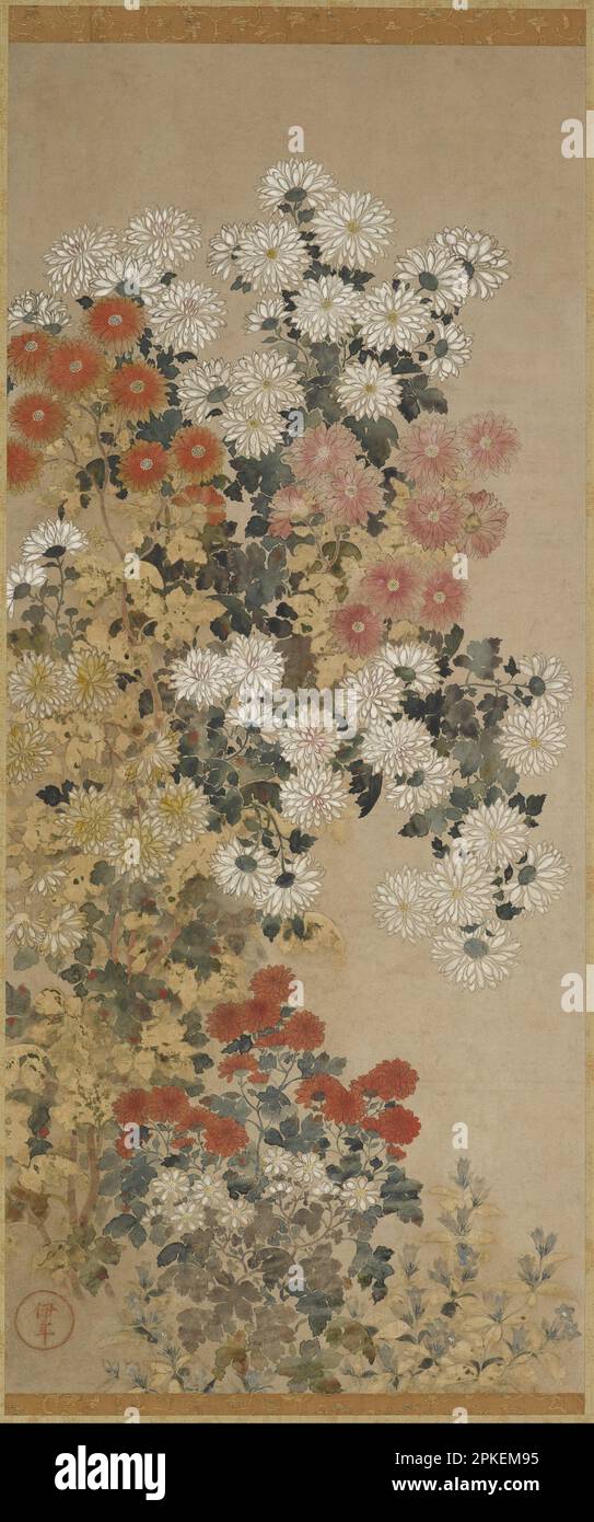 Chrysanthemen von 1600 bis 1630 vom Meister des i-nen Seals Stockfoto