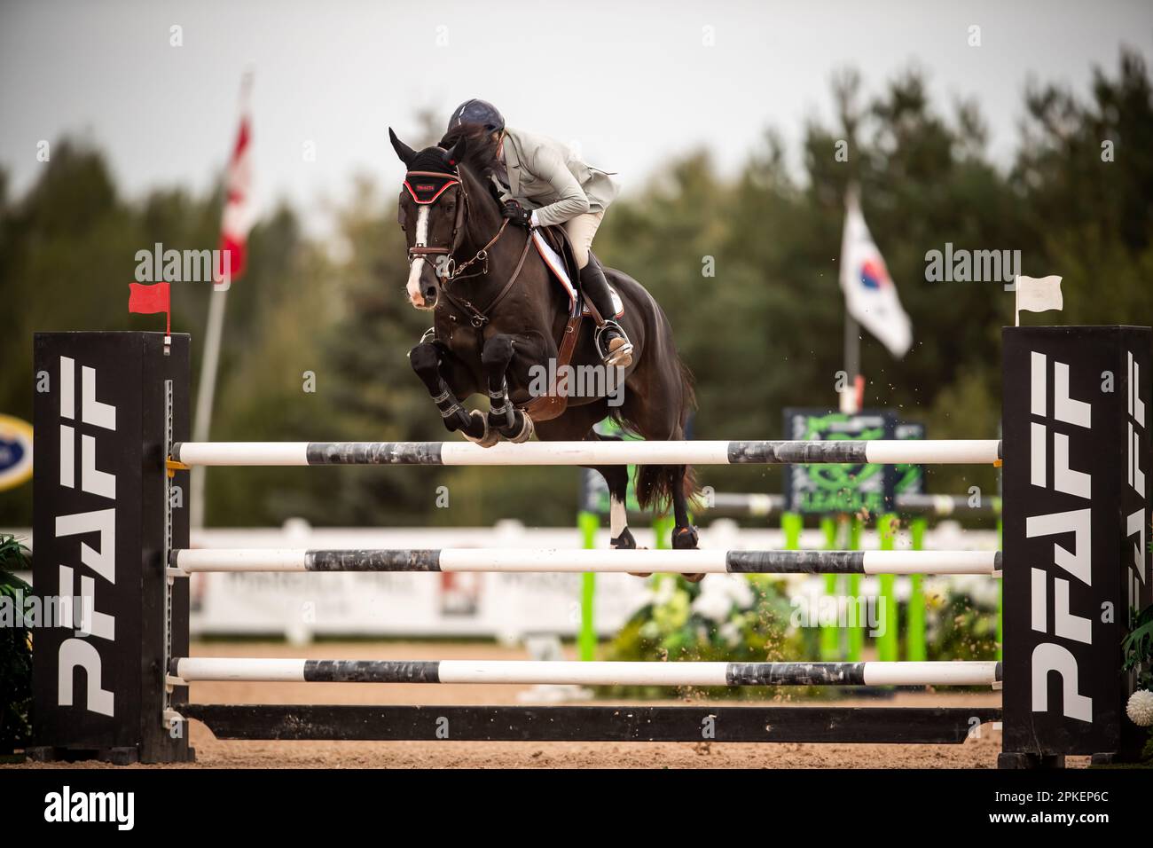 Beth Underhill, kanadische Olympianerin, tritt 2021 im Caledon Equestrian Park bei einer Major League Show Jumping an. Stockfoto