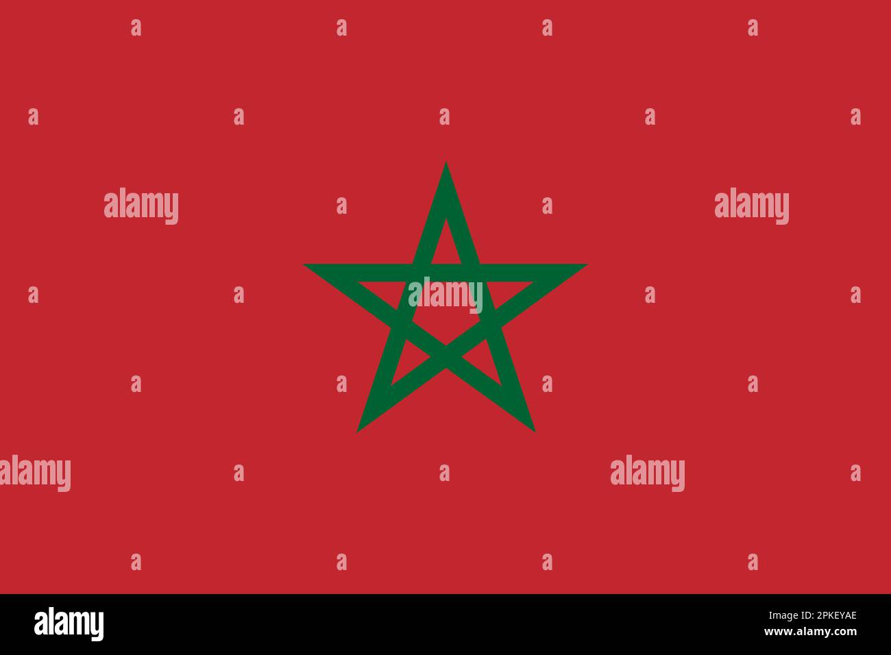 Offizielle nationale marokkanische Flagge Stock Vektor