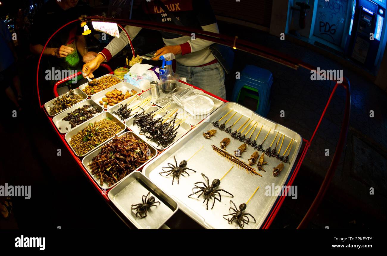 Februar 24 2023-Bangkok Thailand-Spinnen, Skorpione, Kakerlaken, Heuschrecken in Bratpfannen gebraten und in einer überfüllten Straße im Zentrum zum Verkauf ausgestellt Stockfoto