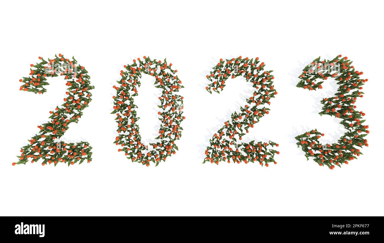 Konzept oder konzeptionelles Set wunderschöner blühender Tulpensträuße aus dem Jahr 2023. 3D Illustration Metapher für Hoffnung, Zukunft, Wohlstand, Gesundheit Stockfoto