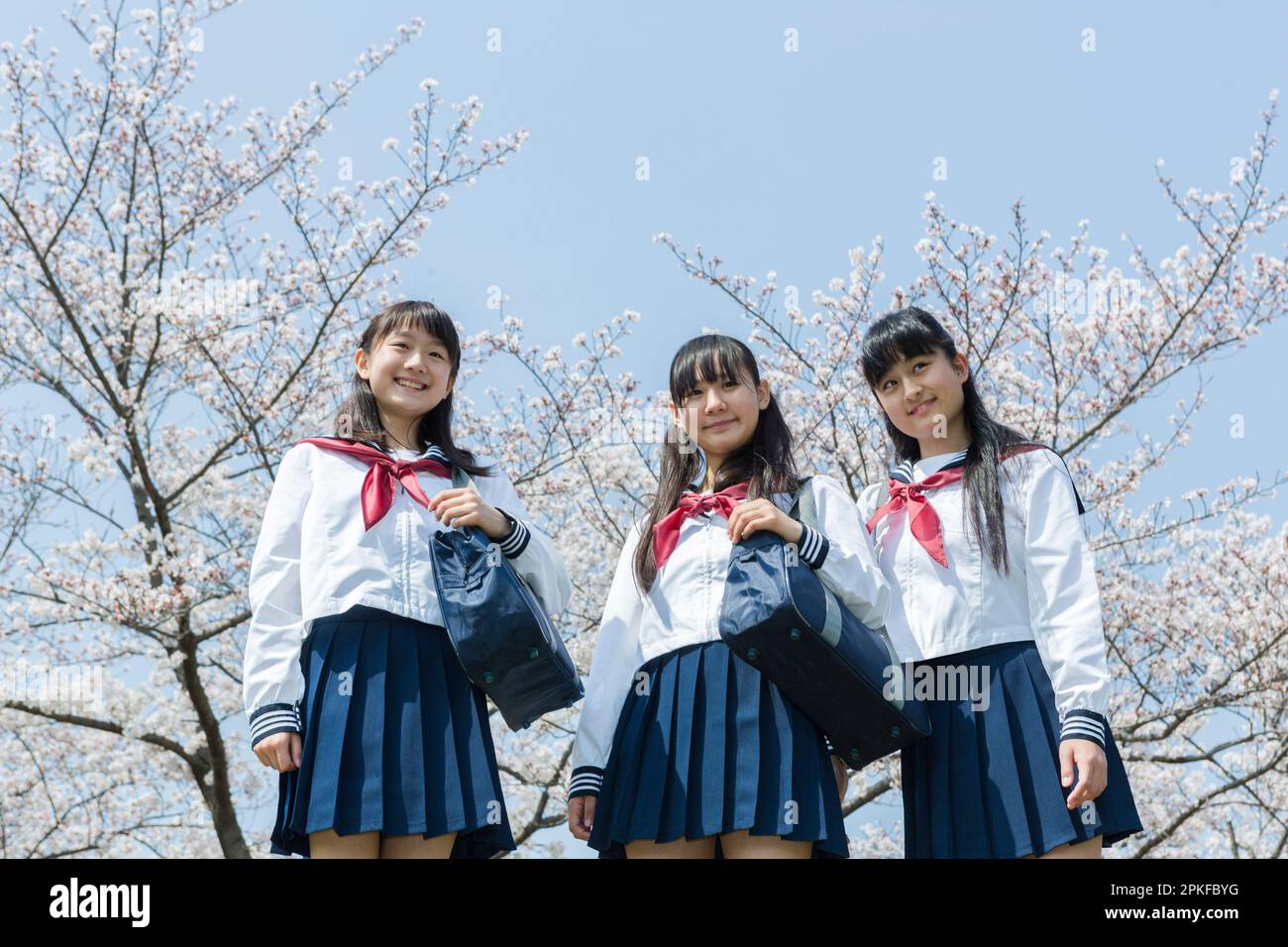 Schulmädchen mit Kirschblüten im Hintergrund Stockfoto